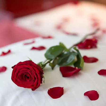 & Hotel Leoben (Styria)